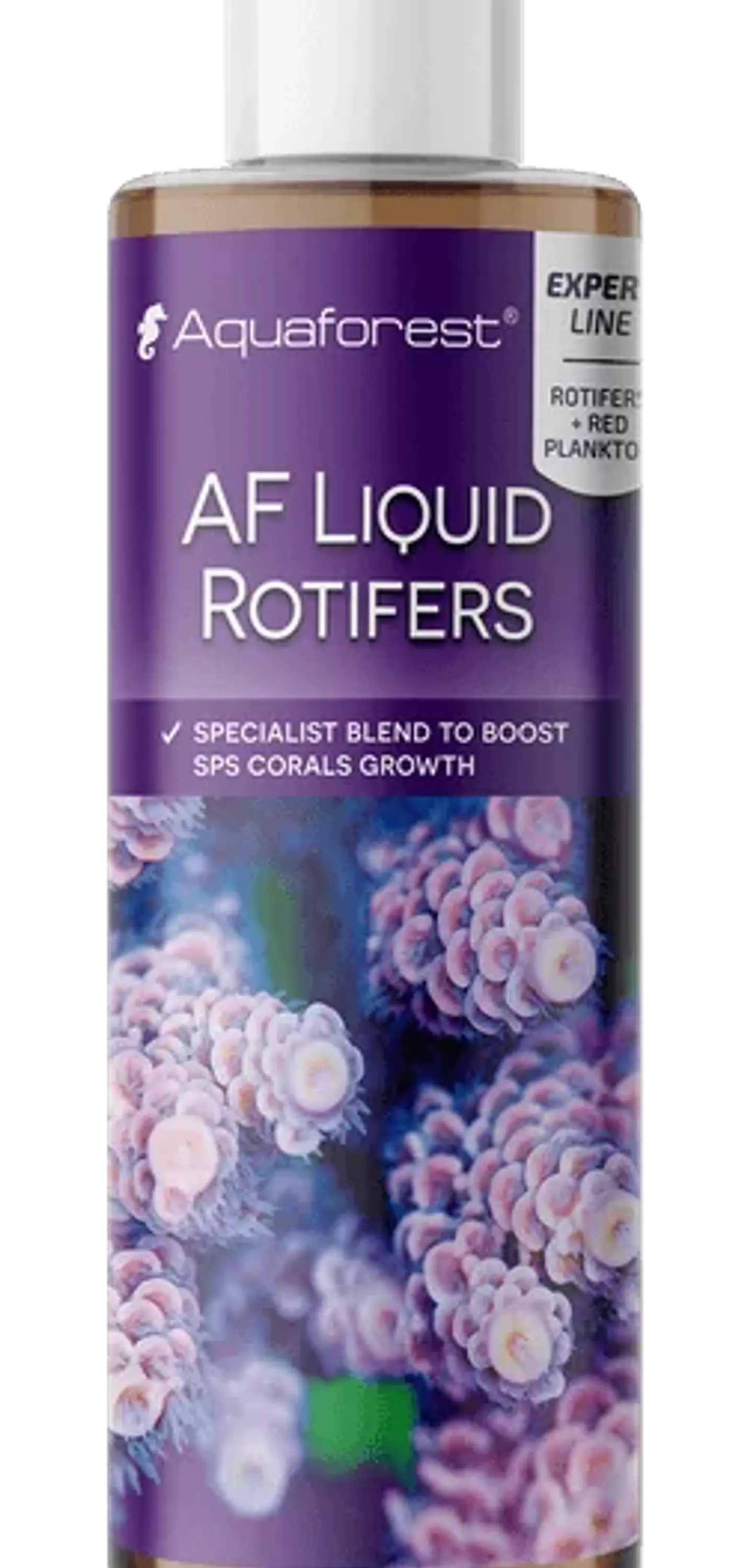 AF Liquid Rotifers 1