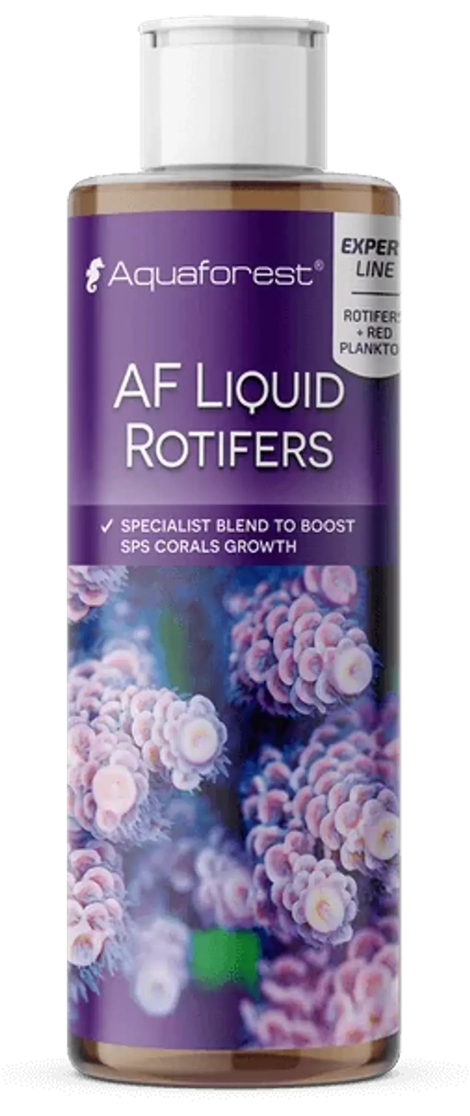 AF Liquid Rotifers 1