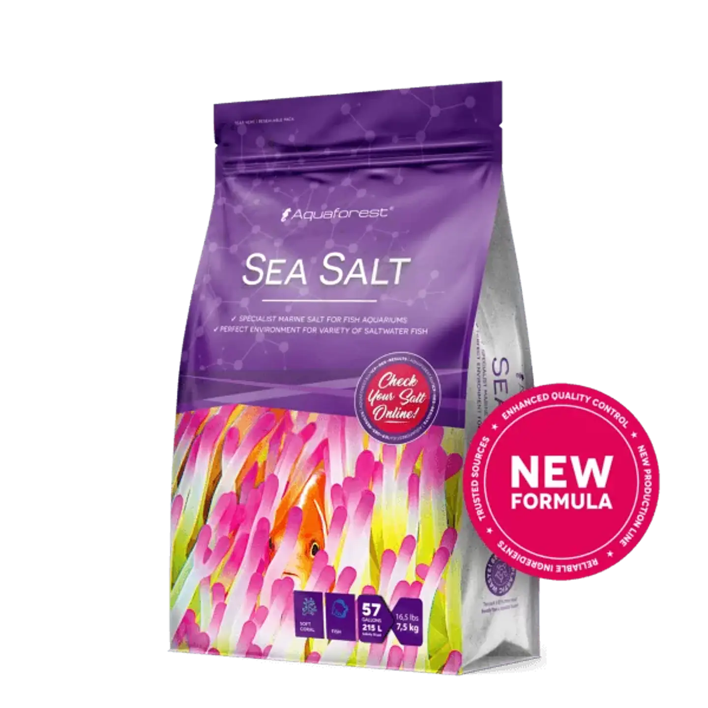 Sea Salt 1