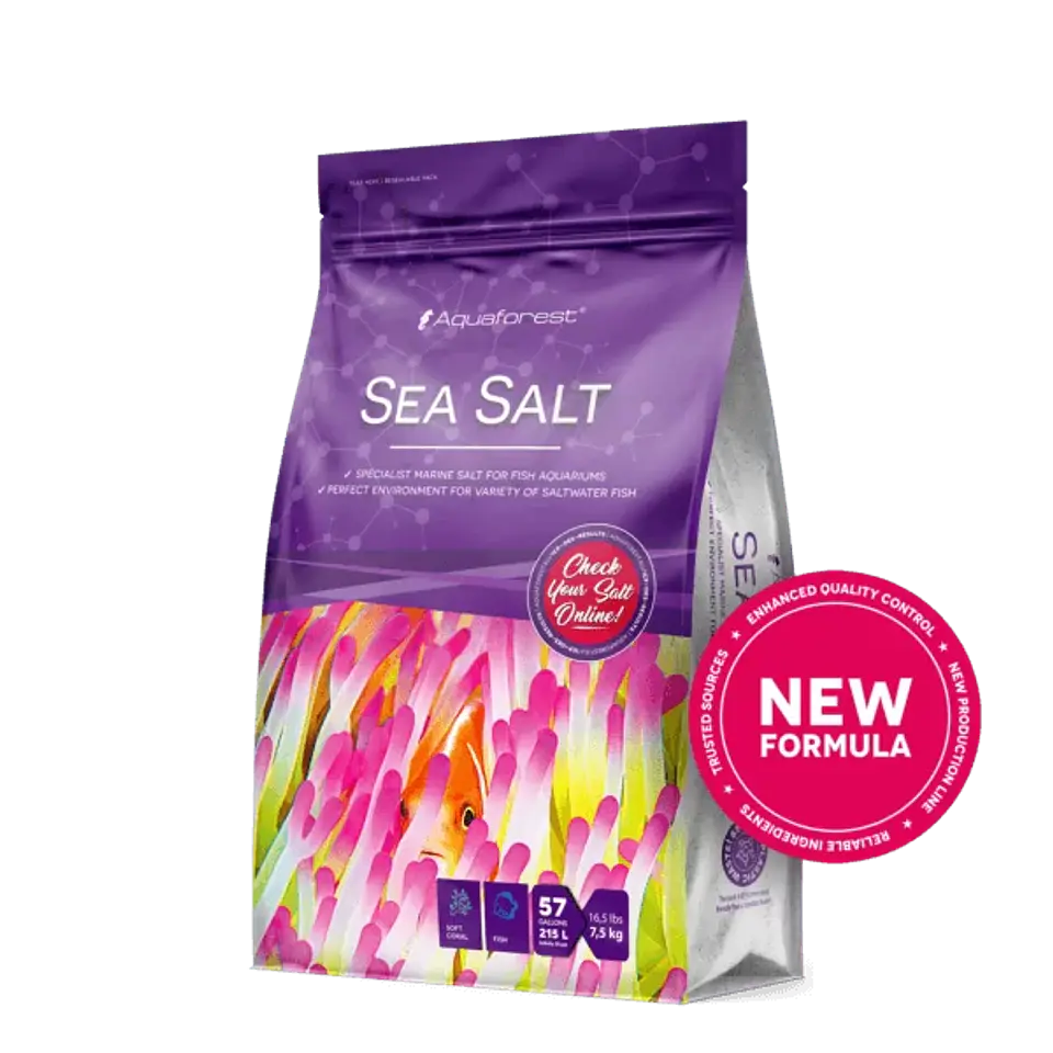 Sea Salt 1