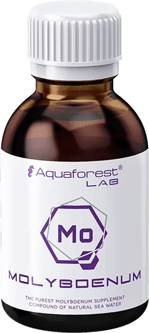 Molybdenum Lab