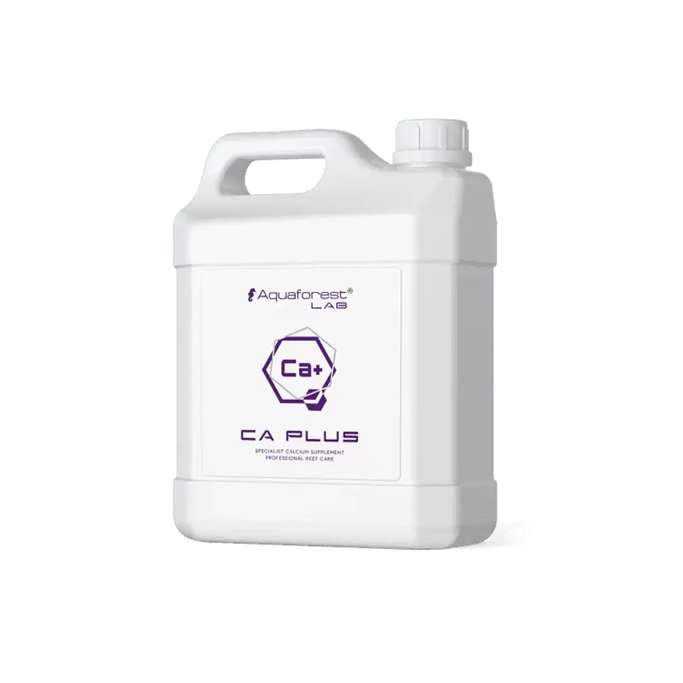 Ca Plus Lab 1
