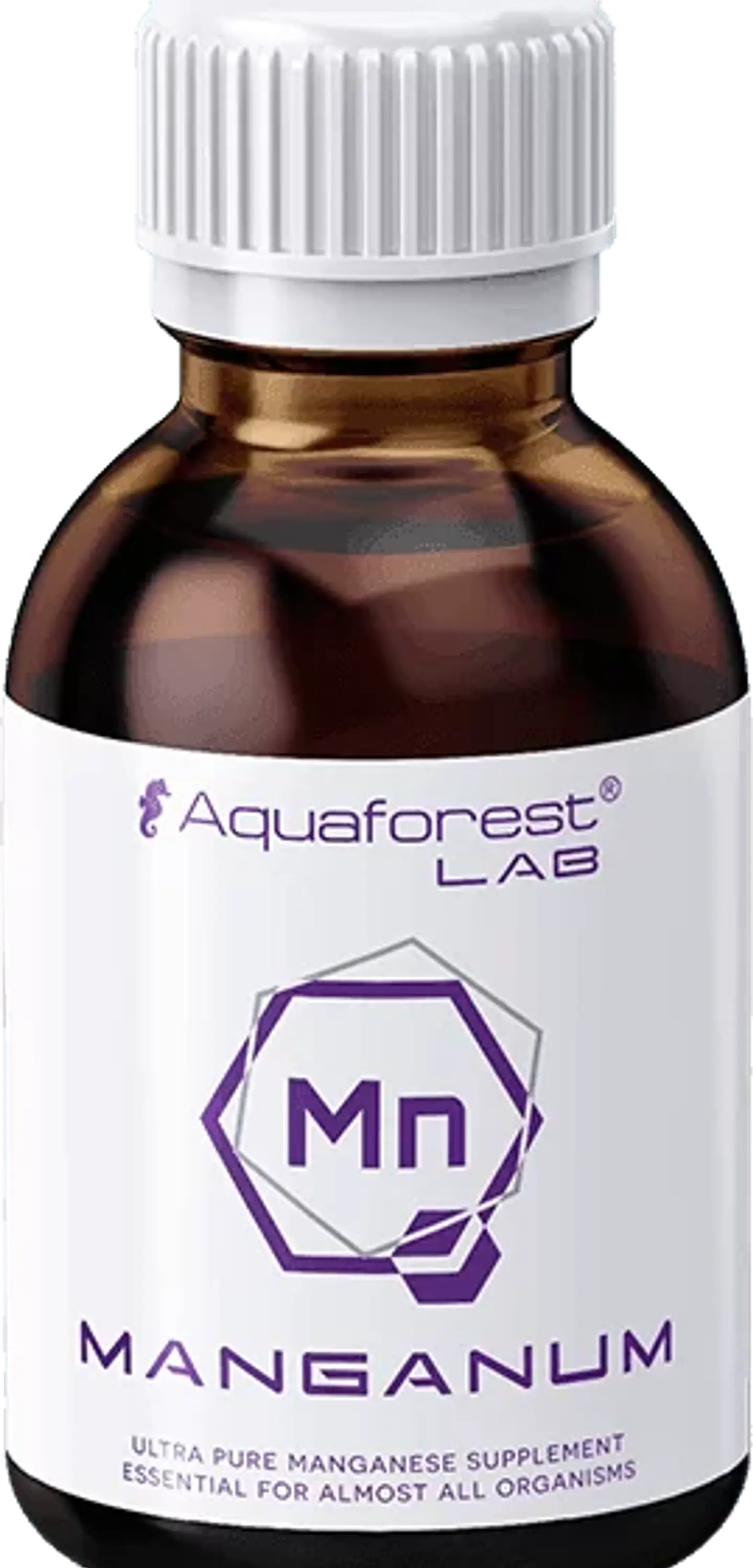 Manganum Lab 1