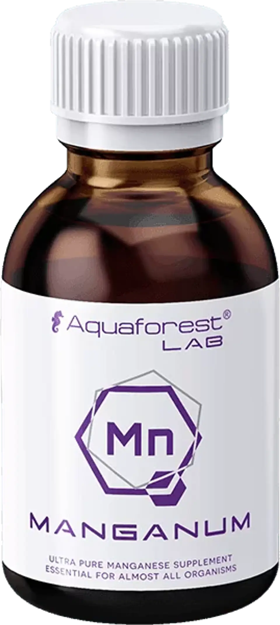 Manganum Lab 1