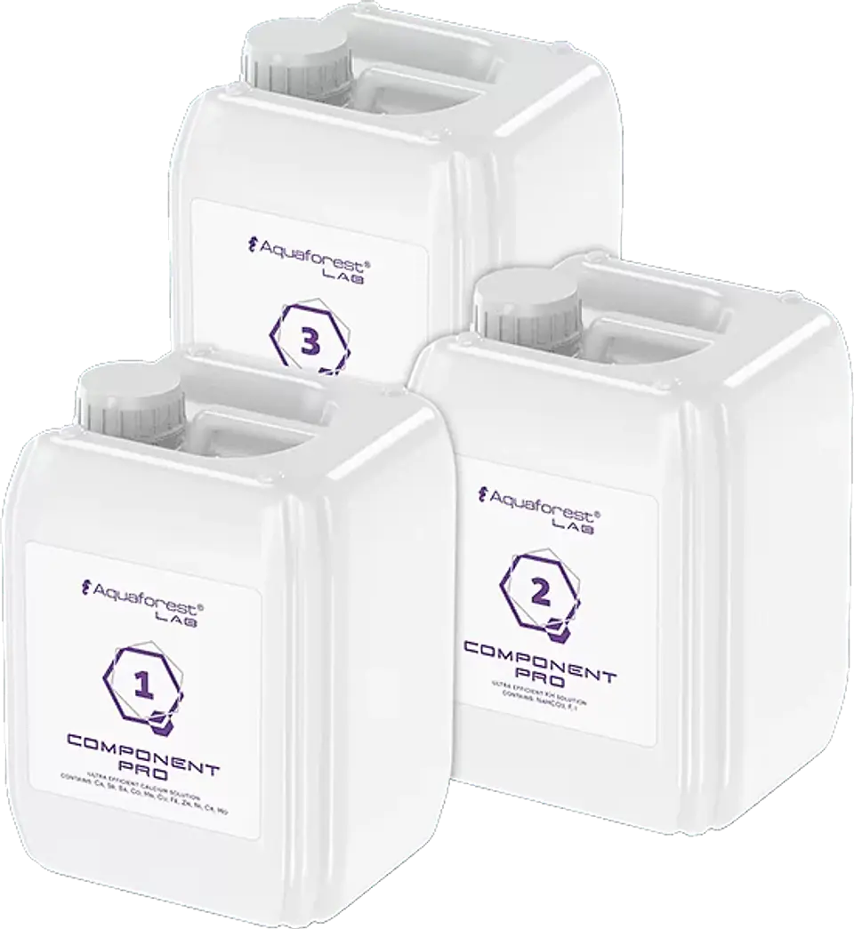 Components Pro 1
