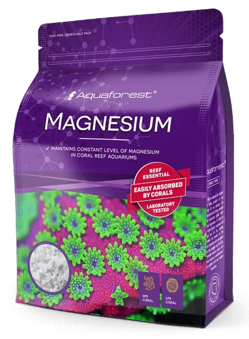 Magnesium 1