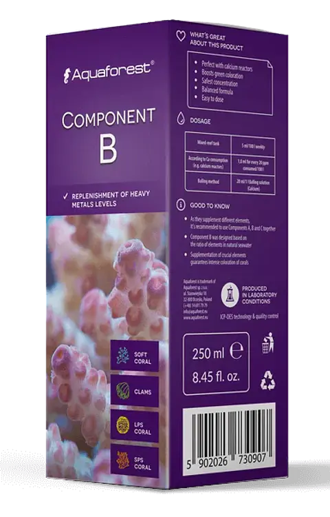 Component B