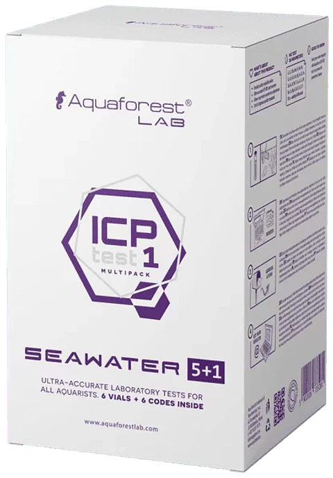 Test Icp 5+1