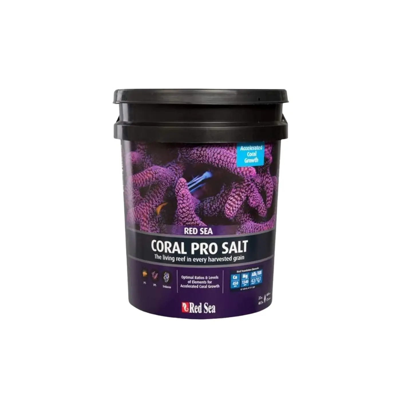 Coral Pro Salt 1