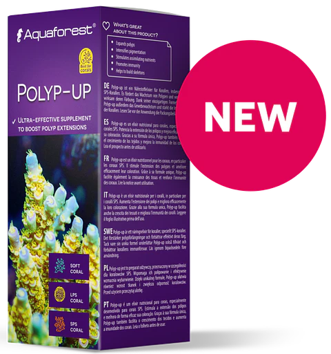 Polyp-Up
