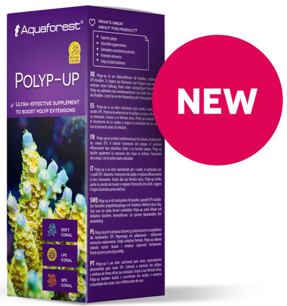 Polyp-Up 1