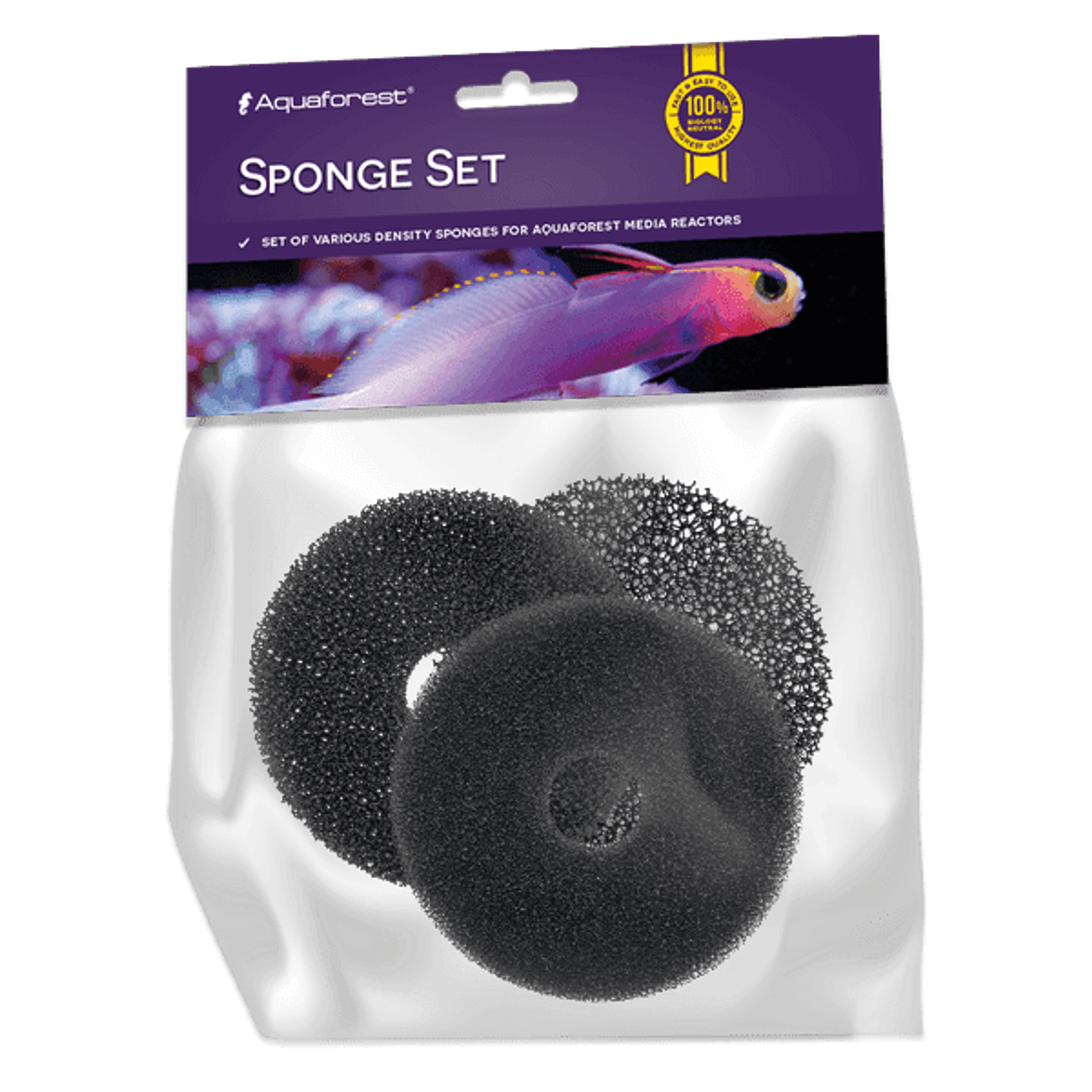 Sponge Set