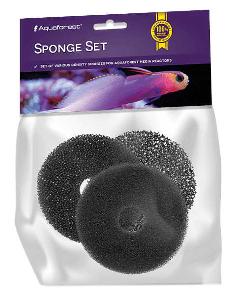 Sponge Set