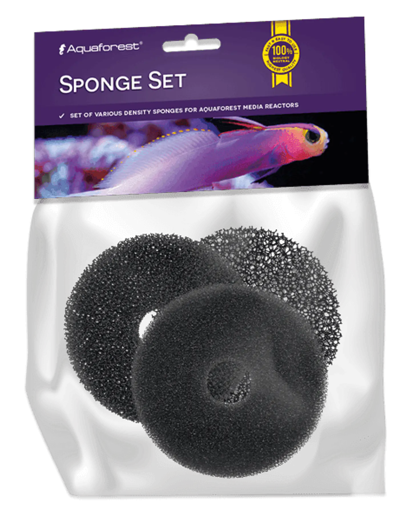 Sponge Set 1