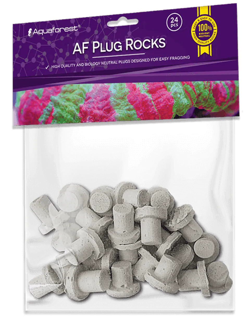 Af Plug Rocks 1