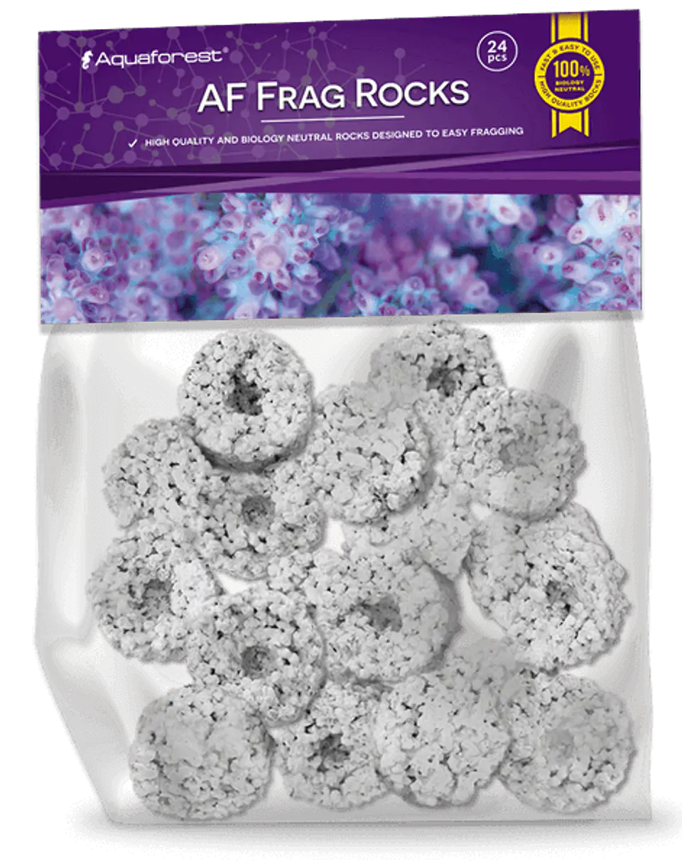 Af Frag Rocks 1