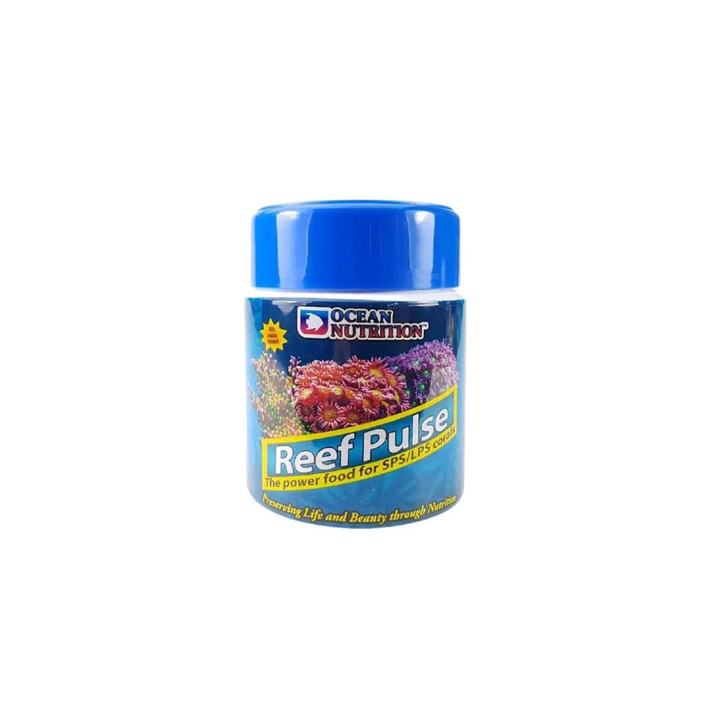 Reef Pulse 1