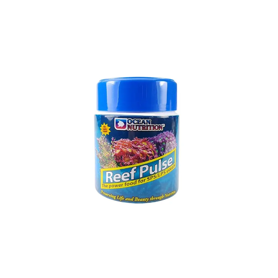 Reef Pulse 1