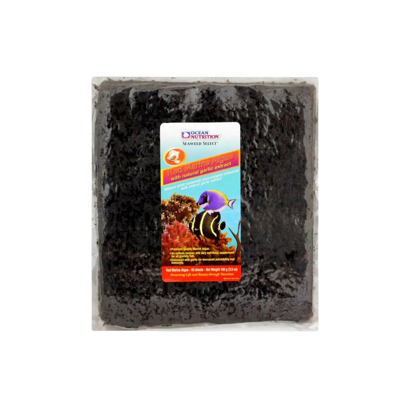 Red Marine Algae 2