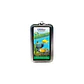 Green Marine Algae - Thumbnail 1