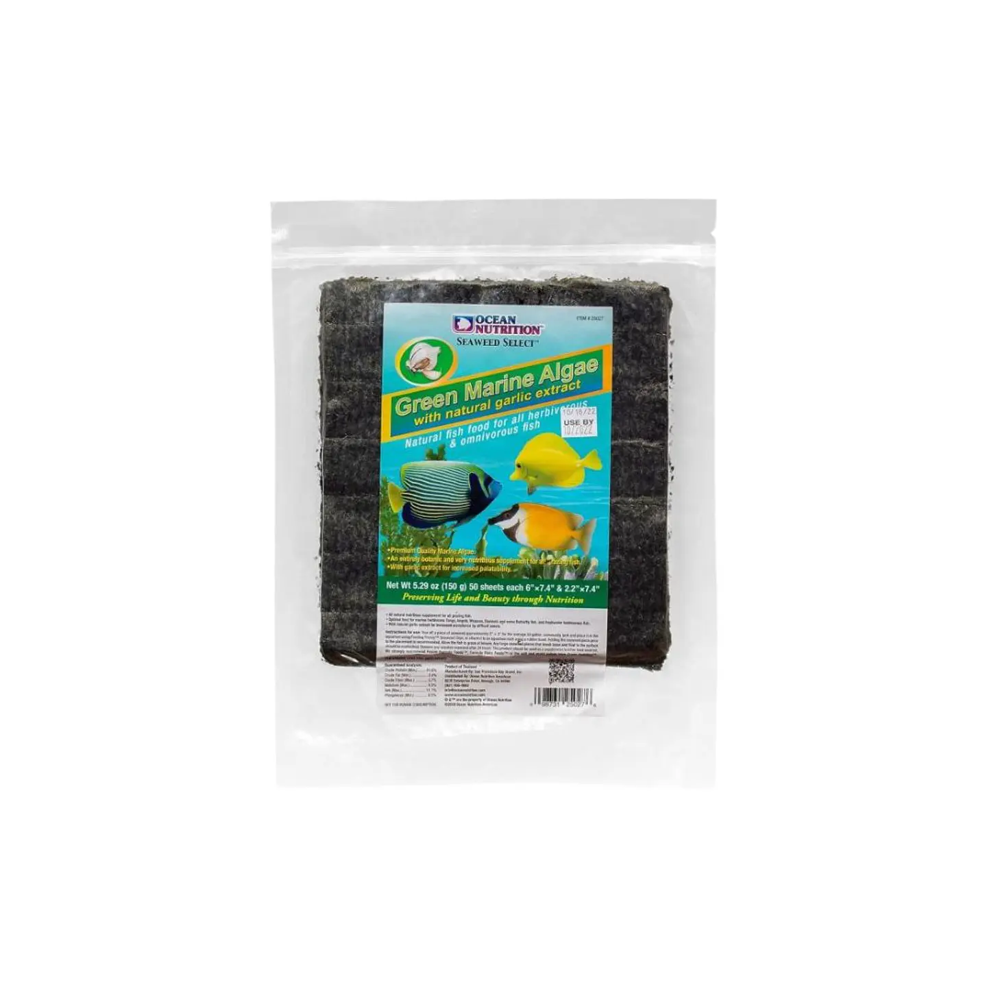 Green Marine Algae 2