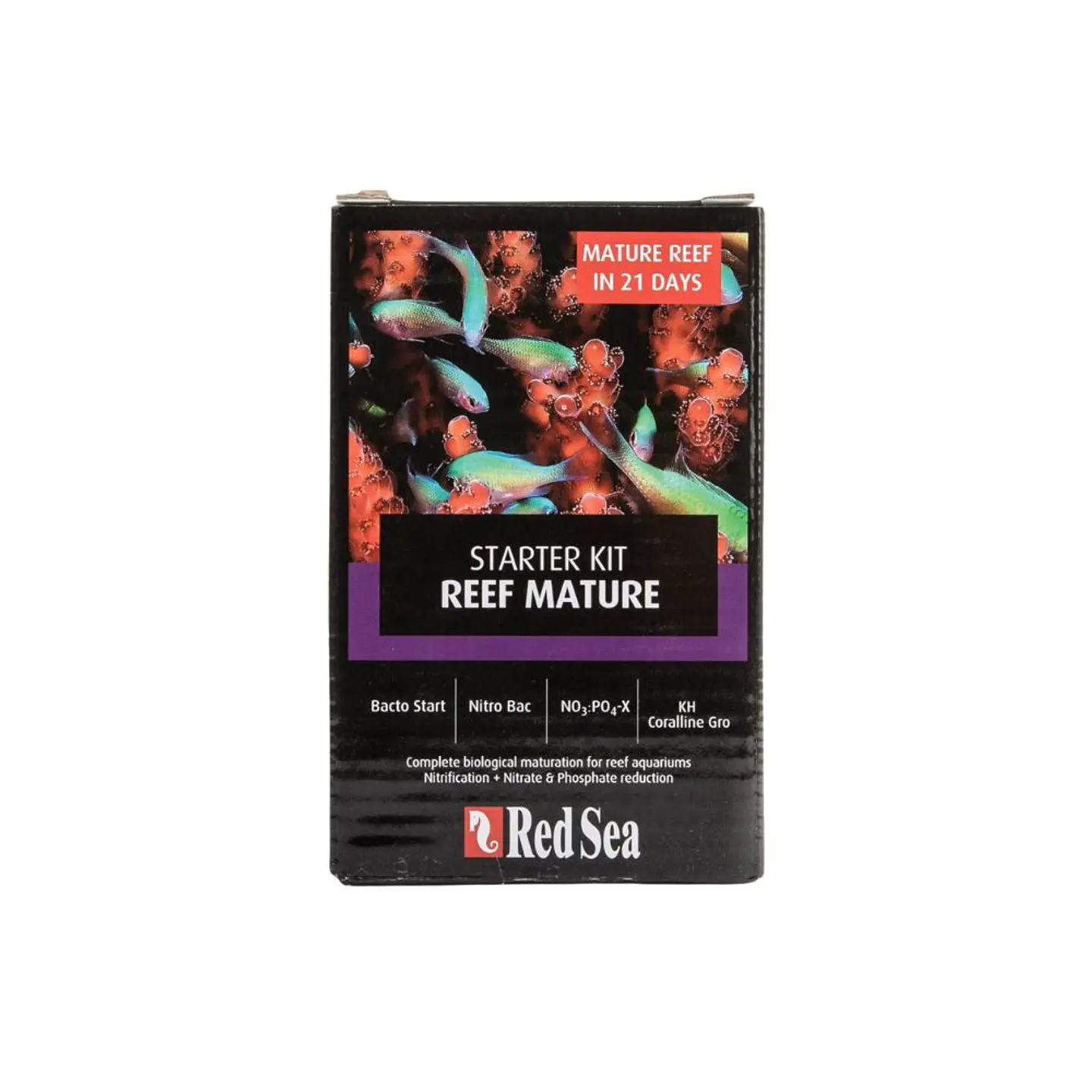 Starter Kit Reef Mature 1