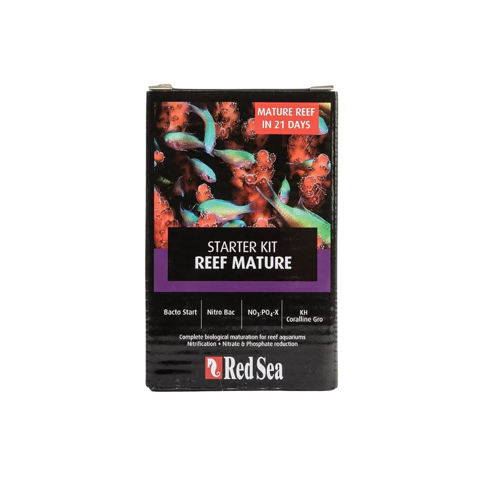 Starter Kit Reef Mature 1