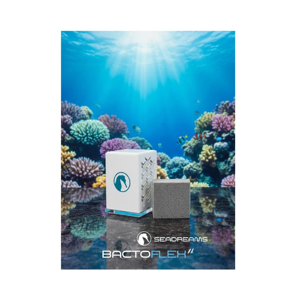 Bacto Flex + Bacto Box
