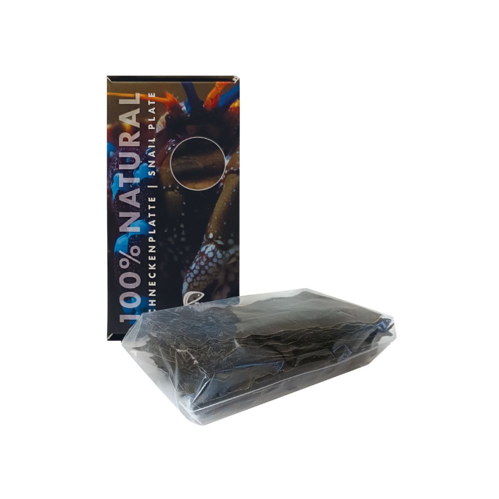 Snail Plate 100% Natural