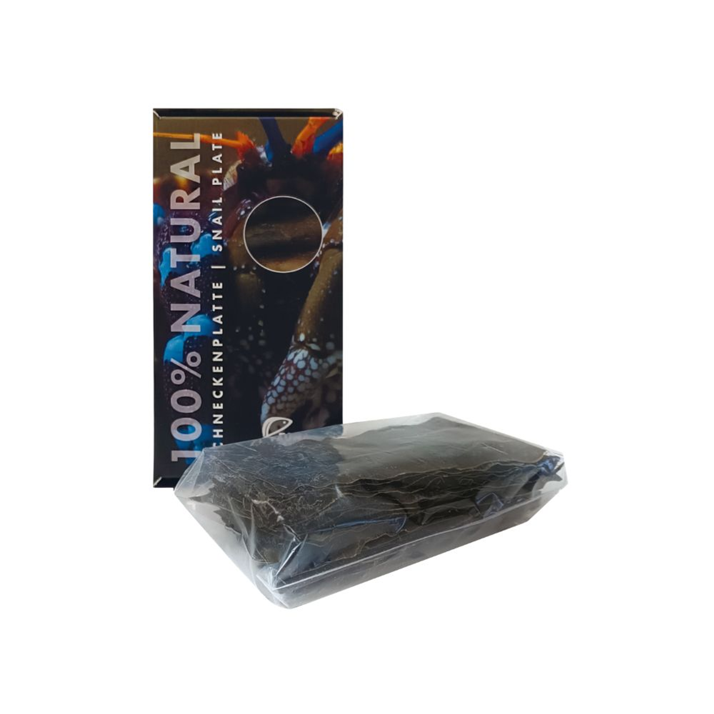 Snail Plate 100% Natural