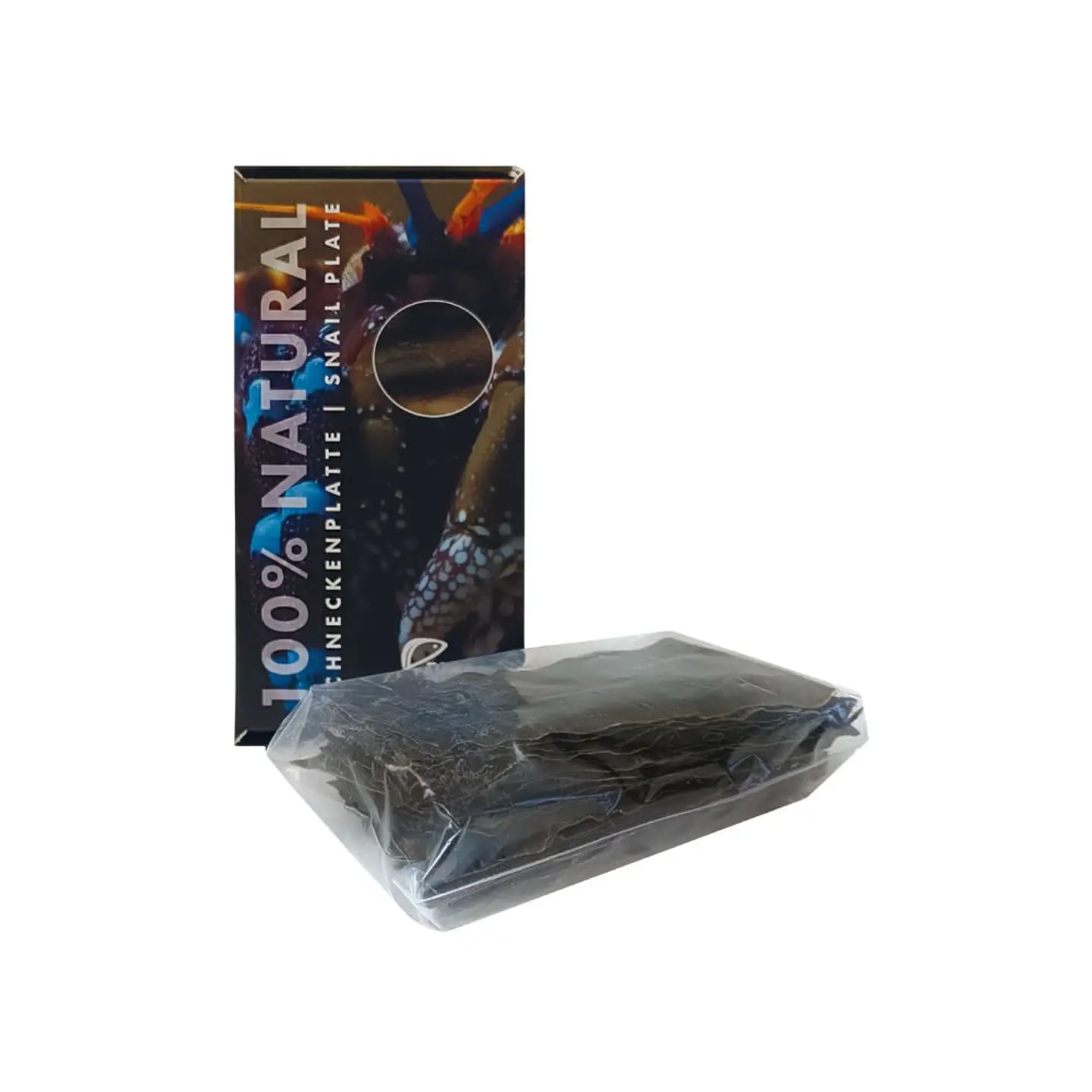 Snail Plate 100% Natural 1
