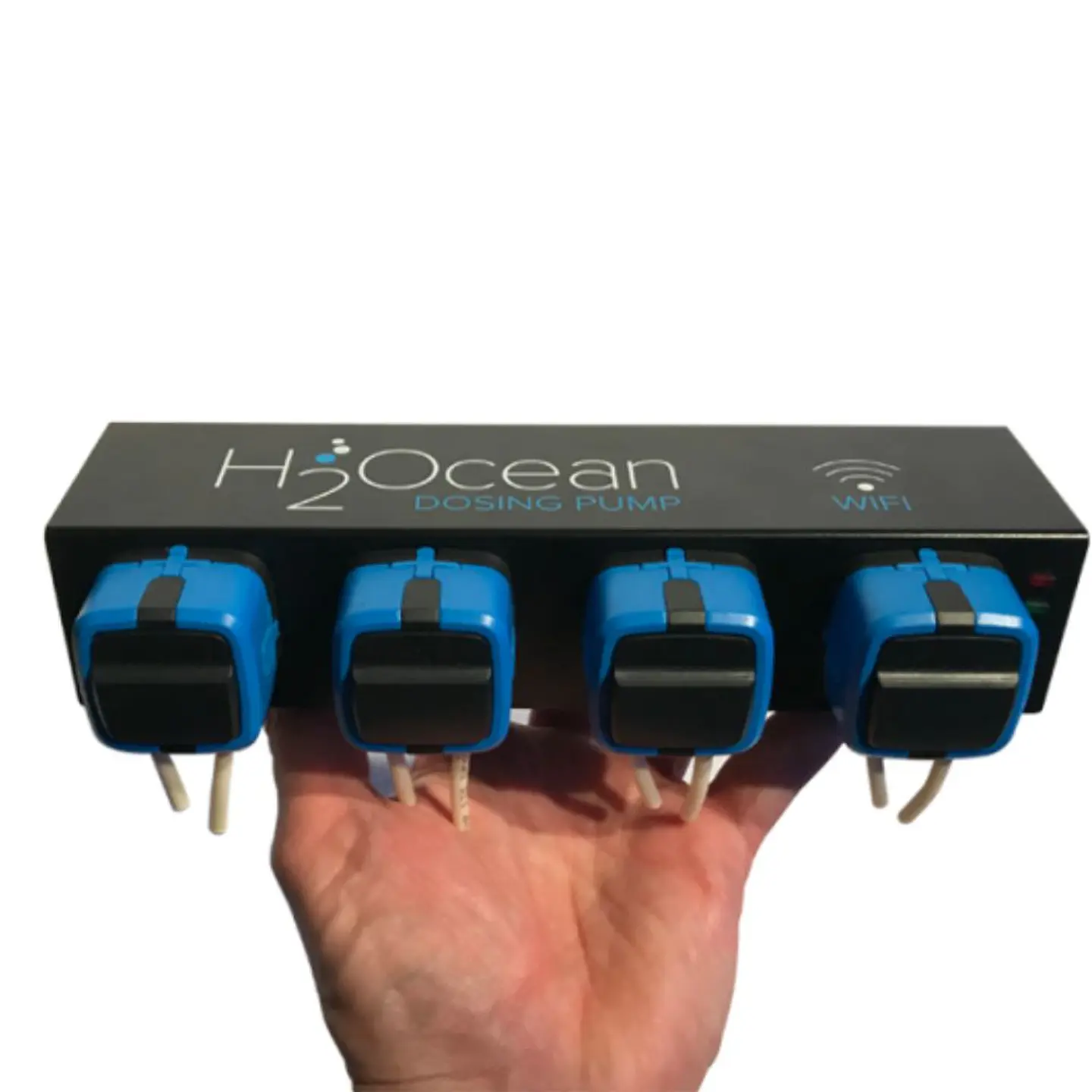P4 H2Ocean 3