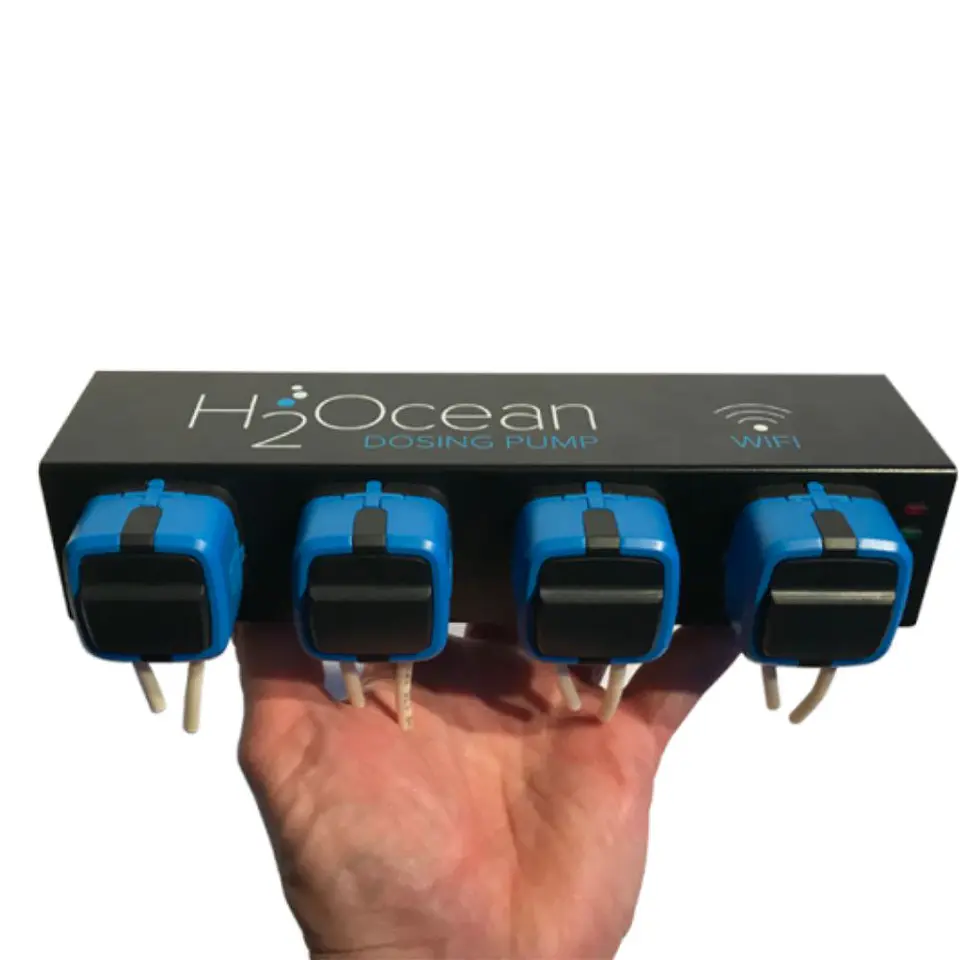P4 H2Ocean 3