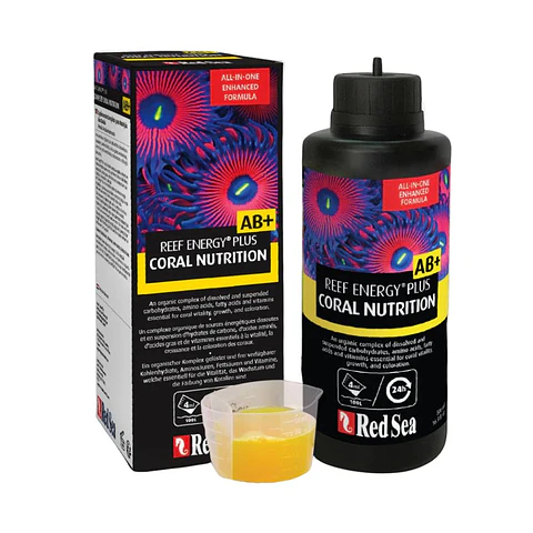 Reef Energy AB+