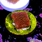 Pavona freak hair - Thumbnail 2