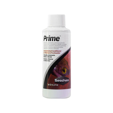 Prime