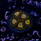 Zoanthus scrambled eggs - Thumbnail 2