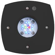AquaIllumination Prime 16 HD color negro 1