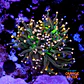 Euphyllia torch peach tip  - Thumbnail 1