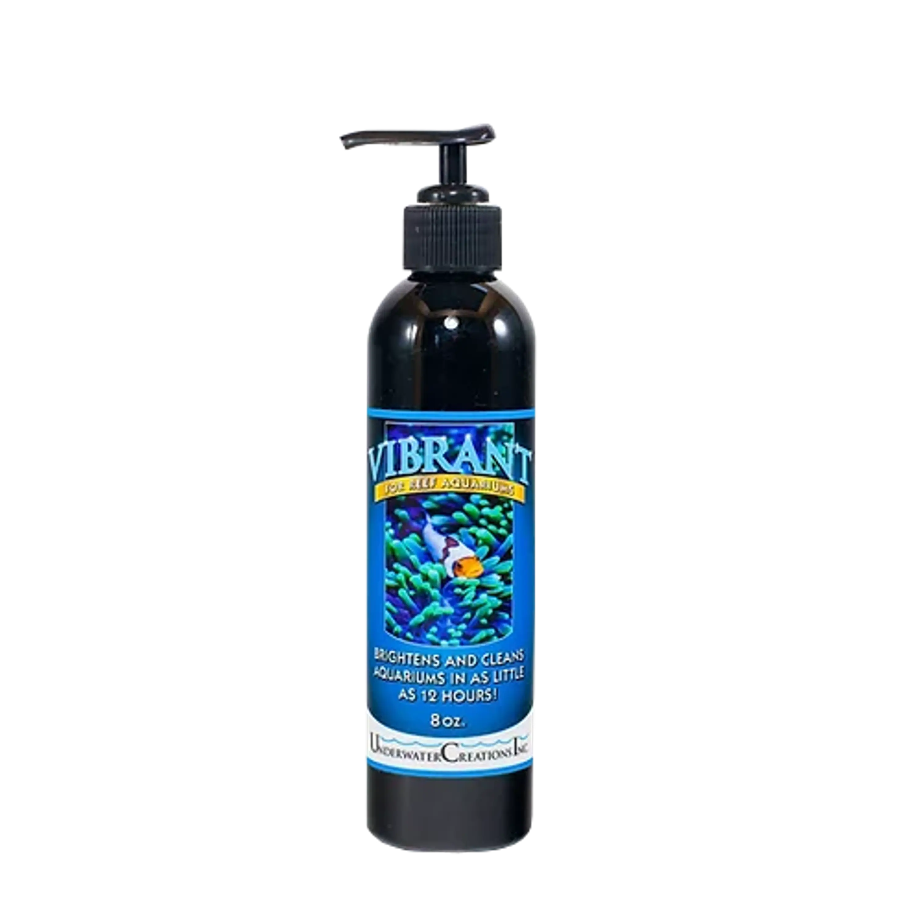 Vibrant reef