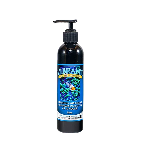 Vibrant reef
