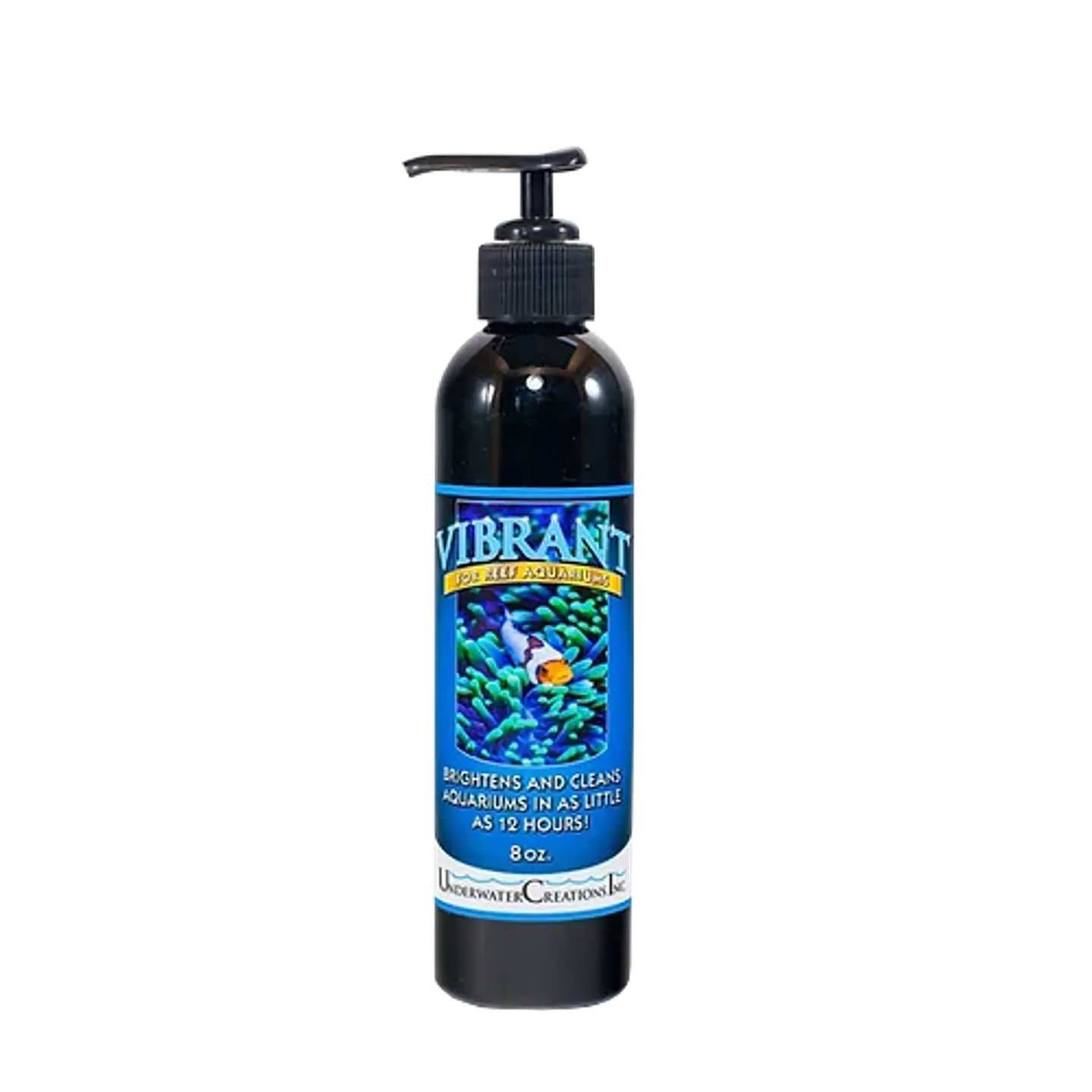 Vibrant reef 1