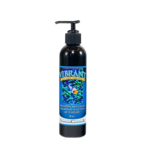 Vibrant reef 1