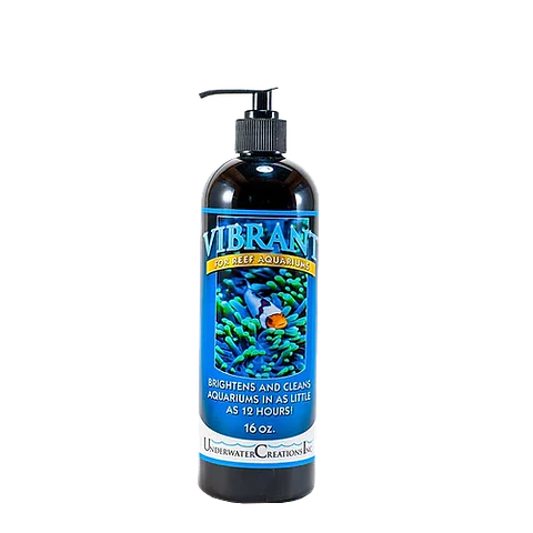 Vibrant reef