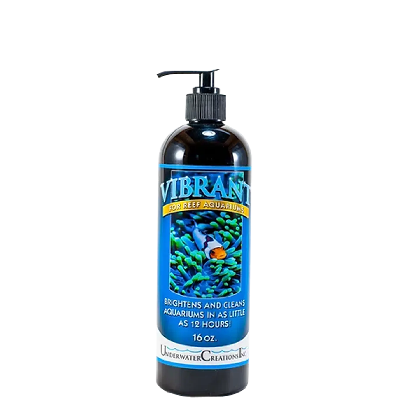 Vibrant reef 2