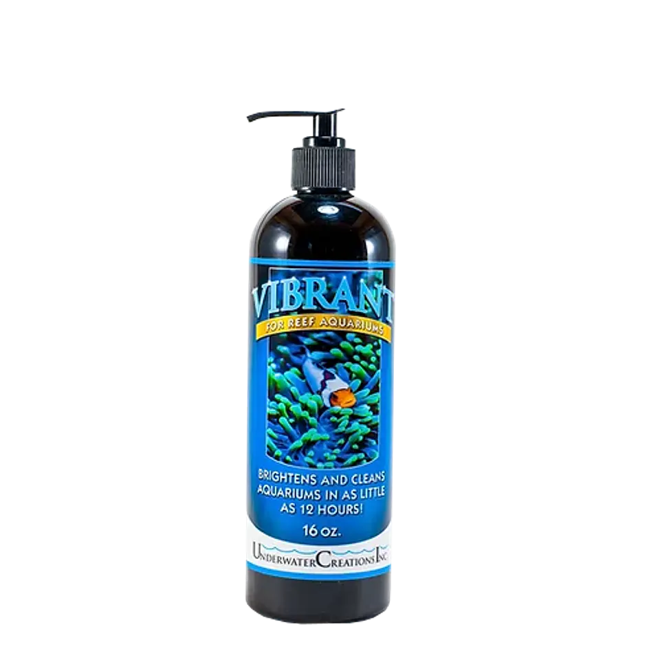 Vibrant reef 2