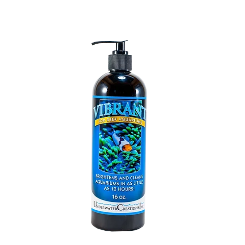 Vibrant reef 2