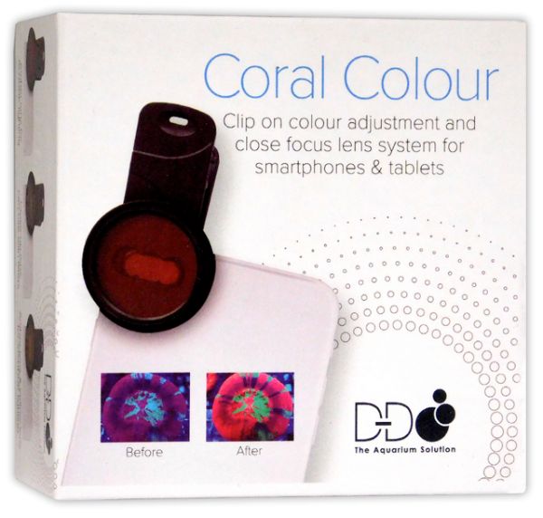 D-D Coral Colour