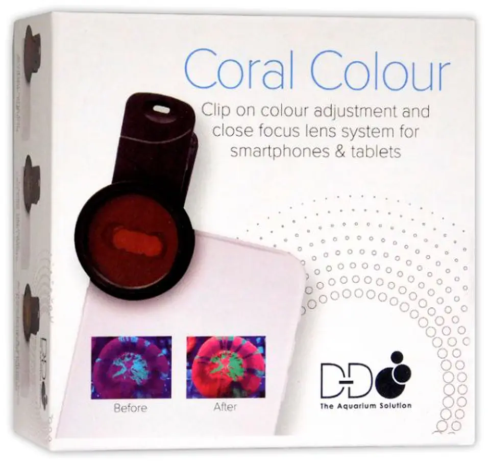 D-D Coral Colour 1