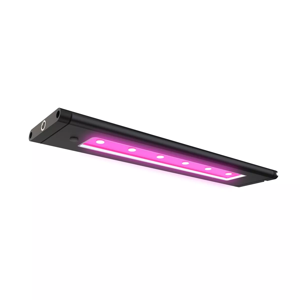 AI Blade Refugium 1
